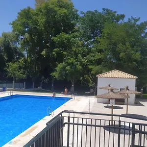 https://apartamento-mandala.es-andalucia.com
